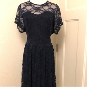 ModCloth Navy Lace Knit Fit & Flare Dress - 2X
